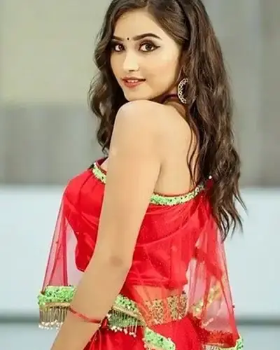 Escort In Palashi
